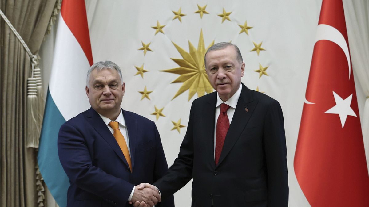 Cumhurbaşkanı Erdoğan, Macaristan'ın Türkiye'nin AB üyeliğine verdiği destekten dolayı övgüde bulundu