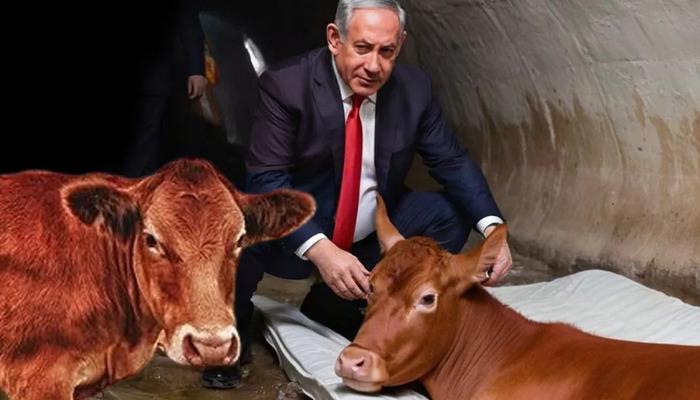 İsrail kehanetlere güvenmeye başladı!  Piyasaya sürülen fotoğraf din savaşlarının ilk kıvılcımı olabilir: Dalga dalga yayılacak