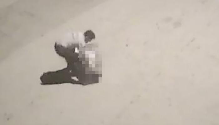 Yazlık sitede cinayet!  Özel güvenlik görevlisi apartman sahibini bıçaklayarak öldürdü