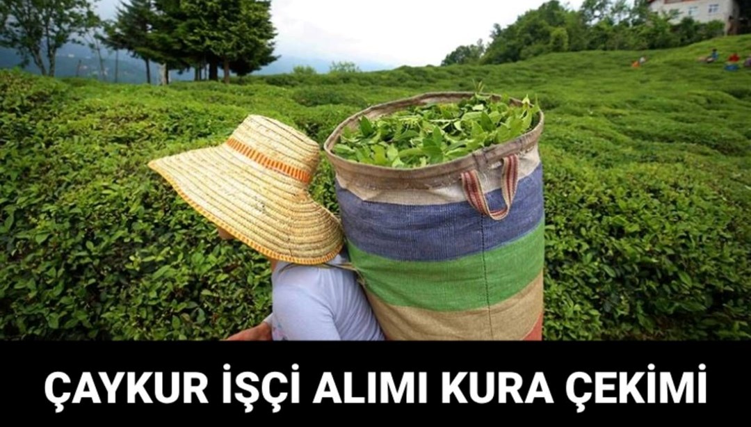 ÇAYKUR işçi alımı kura sonuçları ne zaman açıklanacak? Çaykur işçi alımı kura tarihi - Son Dakika Türkiye Haberleri
