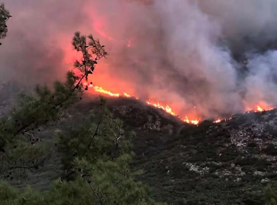 Antalya Kaş'ta Orman Yangını: Alevlere Havanın Rüzgarlı Tavrı Müdahaleyi Zorlaştırıyor
